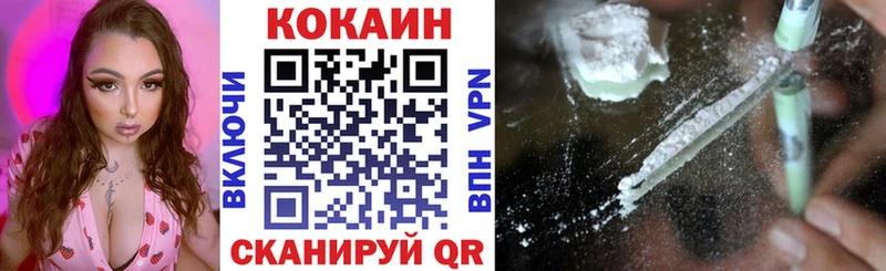 дарнет шоп  Сорск  Кокаин FishScale 