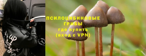 крисы Киреевск