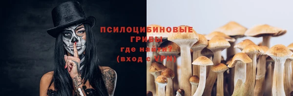 крисы Киреевск
