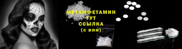 сатива Кинешма