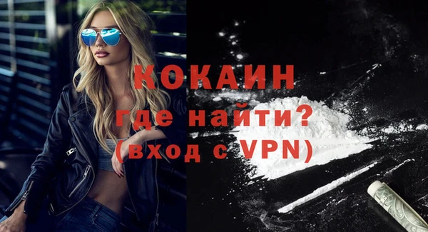 сатива Кинешма