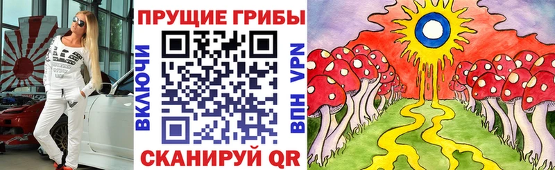 продажа наркотиков  Сорск  Галлюциногенные грибы мицелий 